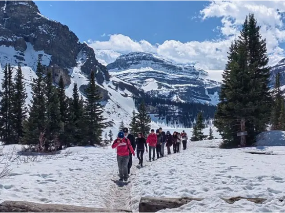 Rocky Mountain Experts